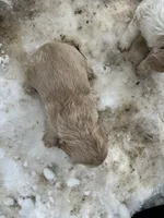 processed/b5532e8e-36a6-40e0-9840-dc4996fa709b/listing/fcf61816-2986-431c-8548-c6711713271e/5b72bbbf-3eba-473d-bc81-7af9acfca2c7