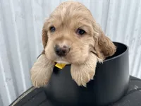 processed/b5532e8e-36a6-40e0-9840-dc4996fa709b/listing/fcf61816-2986-431c-8548-c6711713271e/60cf64e8-c442-4be1-baba-b4711831eea6