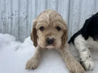 processed/b5532e8e-36a6-40e0-9840-dc4996fa709b/listing/fcf61816-2986-431c-8548-c6711713271e/d82898f6-72b5-4788-a846-80a14a4442c5