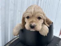 processed/b5532e8e-36a6-40e0-9840-dc4996fa709b/listing/fcf61816-2986-431c-8548-c6711713271e/e3f9bd6d-4510-4db8-8a86-fd075e5cc205