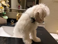 processed/b55e67c8-aa63-4024-99a3-b22b7f598167/listing/84f510fe-2eed-421d-ab64-751b5600c799/6cb55ada-34eb-4a85-a8c1-4c2a0d14c2e5