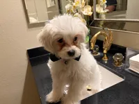 processed/b55e67c8-aa63-4024-99a3-b22b7f598167/listing/84f510fe-2eed-421d-ab64-751b5600c799/f73dcdde-8a8c-489c-a7ed-abaeebfcae3a