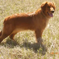 processed/b5601f59-15b5-439a-a53c-71769c28fbe7/facility/4bcf709c-b190-4ffb-b130-4281e8cf7891