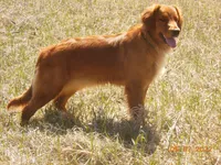 processed/b5601f59-15b5-439a-a53c-71769c28fbe7/facility/4bcf709c-b190-4ffb-b130-4281e8cf7891