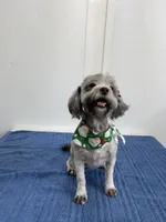 processed/b5607b97-8942-4410-af6e-233baf78c384/listing/228a83b5-77ce-4968-86d3-12ecd42764de/72a08ad7-d17e-46d3-b18b-e8b34c05f596