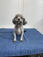 processed/b5607b97-8942-4410-af6e-233baf78c384/listing/228a83b5-77ce-4968-86d3-12ecd42764de/934c8753-e174-4738-b893-170c9eec0947