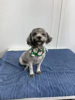 processed/b5607b97-8942-4410-af6e-233baf78c384/listing/228a83b5-77ce-4968-86d3-12ecd42764de/f3941a79-274b-4a28-ae0f-93462fb1cc95