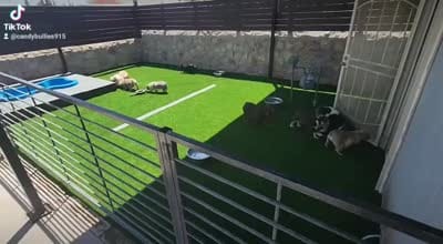 Facility video
