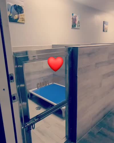 Facility video