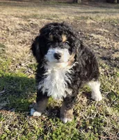 processed/b5793c85-8e0b-4740-87c0-dd175e3ca4d8/listing/1a5e4c6f-40a7-4da1-beb7-ccf5872a8df2/62b89a9a-cce9-4928-950e-3c0dcbb5c2d7