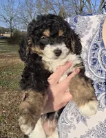 processed/b5793c85-8e0b-4740-87c0-dd175e3ca4d8/listing/1a5e4c6f-40a7-4da1-beb7-ccf5872a8df2/6ebbec76-2873-4d4d-a7b5-47e8b3ad841c