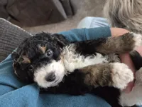 processed/b5793c85-8e0b-4740-87c0-dd175e3ca4d8/listing/1a5e4c6f-40a7-4da1-beb7-ccf5872a8df2/f2734191-84bc-4ad1-9d61-101e7c24e30d