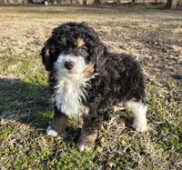 processed/b5793c85-8e0b-4740-87c0-dd175e3ca4d8/listing/1a5e4c6f-40a7-4da1-beb7-ccf5872a8df2/fe584d72-0baf-4961-ba22-77e4b221dbd5