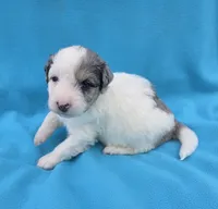 processed/b5793c85-8e0b-4740-87c0-dd175e3ca4d8/listing/4ed2453c-8396-4d13-a3fb-9fc7a53eb2e4/01420169-fff1-4a3b-921c-ce26f512f9b1