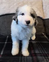 processed/b5793c85-8e0b-4740-87c0-dd175e3ca4d8/listing/4ed2453c-8396-4d13-a3fb-9fc7a53eb2e4/047ba6c1-2e1e-4cfc-99de-c031d3ea4cb8