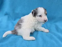 processed/b5793c85-8e0b-4740-87c0-dd175e3ca4d8/listing/4ed2453c-8396-4d13-a3fb-9fc7a53eb2e4/08607750-2538-44be-81c7-783594bfd0af