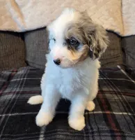 processed/b5793c85-8e0b-4740-87c0-dd175e3ca4d8/listing/4ed2453c-8396-4d13-a3fb-9fc7a53eb2e4/1f2227b8-081b-4284-9bfc-fcb4aba9bdea