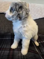 processed/b5793c85-8e0b-4740-87c0-dd175e3ca4d8/listing/4ed2453c-8396-4d13-a3fb-9fc7a53eb2e4/2249884e-7146-4474-bbaa-ef3e42ab8e0f