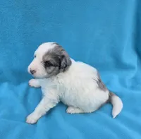 processed/b5793c85-8e0b-4740-87c0-dd175e3ca4d8/listing/4ed2453c-8396-4d13-a3fb-9fc7a53eb2e4/8b8049cf-f168-4d7c-afce-a46ca1ef102d