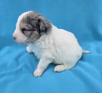 processed/b5793c85-8e0b-4740-87c0-dd175e3ca4d8/listing/4ed2453c-8396-4d13-a3fb-9fc7a53eb2e4/8d48dced-6339-41b1-a22e-d1e502b7143c