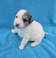 processed/b5793c85-8e0b-4740-87c0-dd175e3ca4d8/listing/4ed2453c-8396-4d13-a3fb-9fc7a53eb2e4/c9b67185-c499-4365-b8be-2c5cfdb445d6