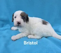 processed/b5793c85-8e0b-4740-87c0-dd175e3ca4d8/listing/67ac04d5-d2d4-48f9-8651-ab566f6bea4b/09474105-0941-4771-ac14-ab7f6741b265