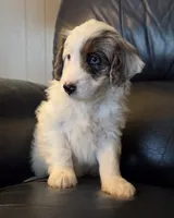 processed/b5793c85-8e0b-4740-87c0-dd175e3ca4d8/listing/67ac04d5-d2d4-48f9-8651-ab566f6bea4b/4eaee8d8-e420-458f-8511-4dfb8bd8fa67