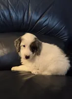 processed/b5793c85-8e0b-4740-87c0-dd175e3ca4d8/listing/67ac04d5-d2d4-48f9-8651-ab566f6bea4b/575b6543-8987-488e-b8c9-9909c0ca83ba