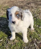 processed/b5793c85-8e0b-4740-87c0-dd175e3ca4d8/listing/67ac04d5-d2d4-48f9-8651-ab566f6bea4b/581d59b4-1598-4c9c-8c1c-a20cd707b71d