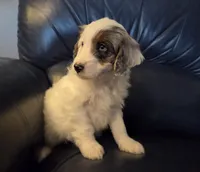 processed/b5793c85-8e0b-4740-87c0-dd175e3ca4d8/listing/67ac04d5-d2d4-48f9-8651-ab566f6bea4b/6c21272c-191a-437c-9214-f8a2fe496805