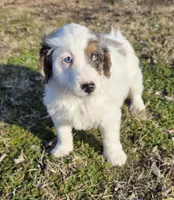 processed/b5793c85-8e0b-4740-87c0-dd175e3ca4d8/listing/67ac04d5-d2d4-48f9-8651-ab566f6bea4b/97ffd4ec-b361-45a5-8608-91c7fe413a00