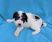 processed/b5793c85-8e0b-4740-87c0-dd175e3ca4d8/listing/89e07459-e0e6-43fa-a276-b6f80d5bceb9/0186a6e8-f31f-4ed1-8b89-caa605a35975