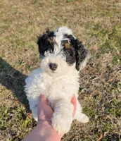 processed/b5793c85-8e0b-4740-87c0-dd175e3ca4d8/listing/89e07459-e0e6-43fa-a276-b6f80d5bceb9/257e9f0c-3c8d-422c-b290-732e57ebe875