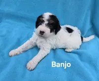 processed/b5793c85-8e0b-4740-87c0-dd175e3ca4d8/listing/89e07459-e0e6-43fa-a276-b6f80d5bceb9/771c1ad3-7486-4de3-8600-4a87718bc402