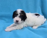 processed/b5793c85-8e0b-4740-87c0-dd175e3ca4d8/listing/89e07459-e0e6-43fa-a276-b6f80d5bceb9/8c0d233f-11df-4f67-93c6-6c2187b1a184