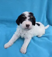 processed/b5793c85-8e0b-4740-87c0-dd175e3ca4d8/listing/89e07459-e0e6-43fa-a276-b6f80d5bceb9/d37775f7-d0d8-4ca0-bd7d-b8c25d5be67b