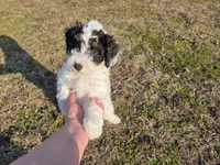 processed/b5793c85-8e0b-4740-87c0-dd175e3ca4d8/listing/89e07459-e0e6-43fa-a276-b6f80d5bceb9/dad415cd-06f9-4b0c-8885-e704a2df36a8