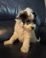 processed/b5793c85-8e0b-4740-87c0-dd175e3ca4d8/listing/8db43dcd-ce38-4a9c-91b0-aa745c440d84/08a2383f-13f6-4ca0-9c33-87a95681d088