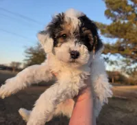 processed/b5793c85-8e0b-4740-87c0-dd175e3ca4d8/listing/8db43dcd-ce38-4a9c-91b0-aa745c440d84/31b95074-447c-460a-b0c4-58c309784e5a