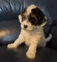 processed/b5793c85-8e0b-4740-87c0-dd175e3ca4d8/listing/8db43dcd-ce38-4a9c-91b0-aa745c440d84/5e090bcf-7988-4e5c-aa3f-293deffadc4a