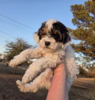 processed/b5793c85-8e0b-4740-87c0-dd175e3ca4d8/listing/8db43dcd-ce38-4a9c-91b0-aa745c440d84/8125bc44-7c61-4c66-acdd-daa87818e603