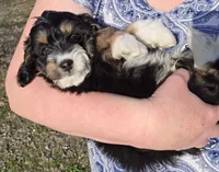 processed/b5793c85-8e0b-4740-87c0-dd175e3ca4d8/listing/958f53f3-b081-4f2a-9eb0-caa9436f4928/338ab18b-aaa1-4c89-a03e-af2bfbe1daf2