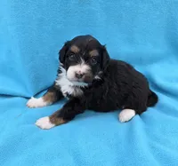 processed/b5793c85-8e0b-4740-87c0-dd175e3ca4d8/listing/958f53f3-b081-4f2a-9eb0-caa9436f4928/4f1a6bd4-fa5e-4617-888d-cf3729e2aaab