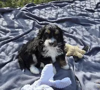 processed/b5793c85-8e0b-4740-87c0-dd175e3ca4d8/listing/958f53f3-b081-4f2a-9eb0-caa9436f4928/cfb15418-59aa-44e0-901e-68e8d7d9dfda