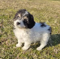 processed/b5793c85-8e0b-4740-87c0-dd175e3ca4d8/listing/e4eda947-423f-4002-b1b2-05e711b46710/27c06a48-c337-4eda-89eb-336267565056