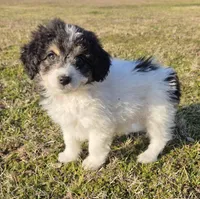 processed/b5793c85-8e0b-4740-87c0-dd175e3ca4d8/listing/e4eda947-423f-4002-b1b2-05e711b46710/353c8640-032d-4af6-9a95-ae5b85e5ed76