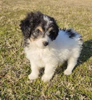 processed/b5793c85-8e0b-4740-87c0-dd175e3ca4d8/listing/e4eda947-423f-4002-b1b2-05e711b46710/61d8faea-2610-43f3-bf96-e0eacd5bed7e