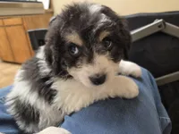 processed/b5793c85-8e0b-4740-87c0-dd175e3ca4d8/listing/e4eda947-423f-4002-b1b2-05e711b46710/a7357201-9e5b-479e-8969-2f382a00fefb