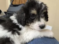 processed/b5793c85-8e0b-4740-87c0-dd175e3ca4d8/listing/e4eda947-423f-4002-b1b2-05e711b46710/ab9ee746-5626-4903-9388-2fcbc43733ea