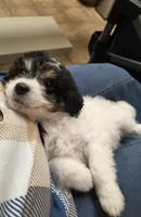 processed/b5793c85-8e0b-4740-87c0-dd175e3ca4d8/listing/e4eda947-423f-4002-b1b2-05e711b46710/ea9b4bd6-e342-4f0d-9189-da3e457ffb55